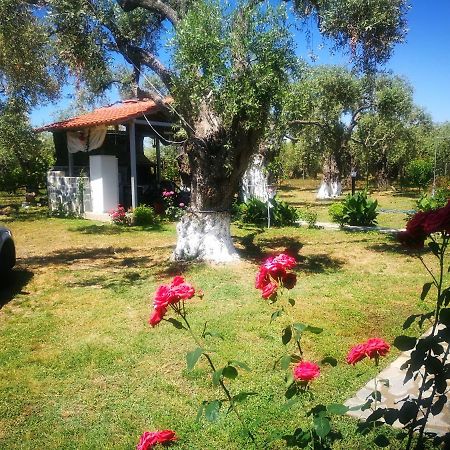 Cristi Apartments Skala Rachoni  Luaran gambar