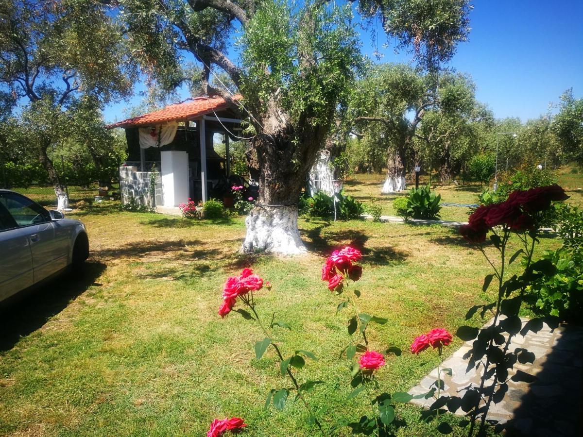 Cristi Apartments Skala Rachoni  Luaran gambar